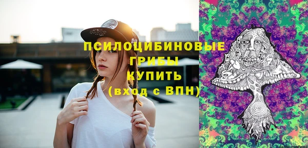гашик Нязепетровск