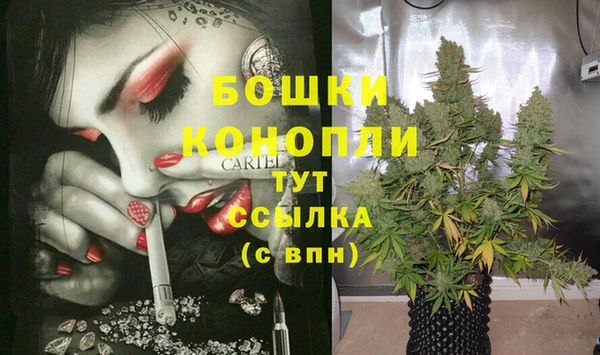 гашик Нязепетровск