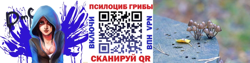 Псилоцибиновые грибы мицелий  Адыгейск 